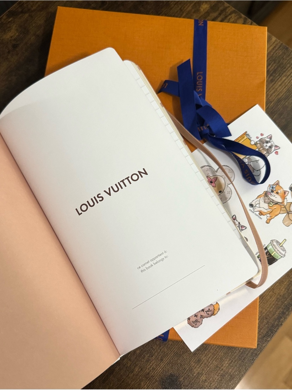 NEW LOUIS VUITTON Monogram Dune Jane Notebook MM with Stickers - Picture 2 of 4